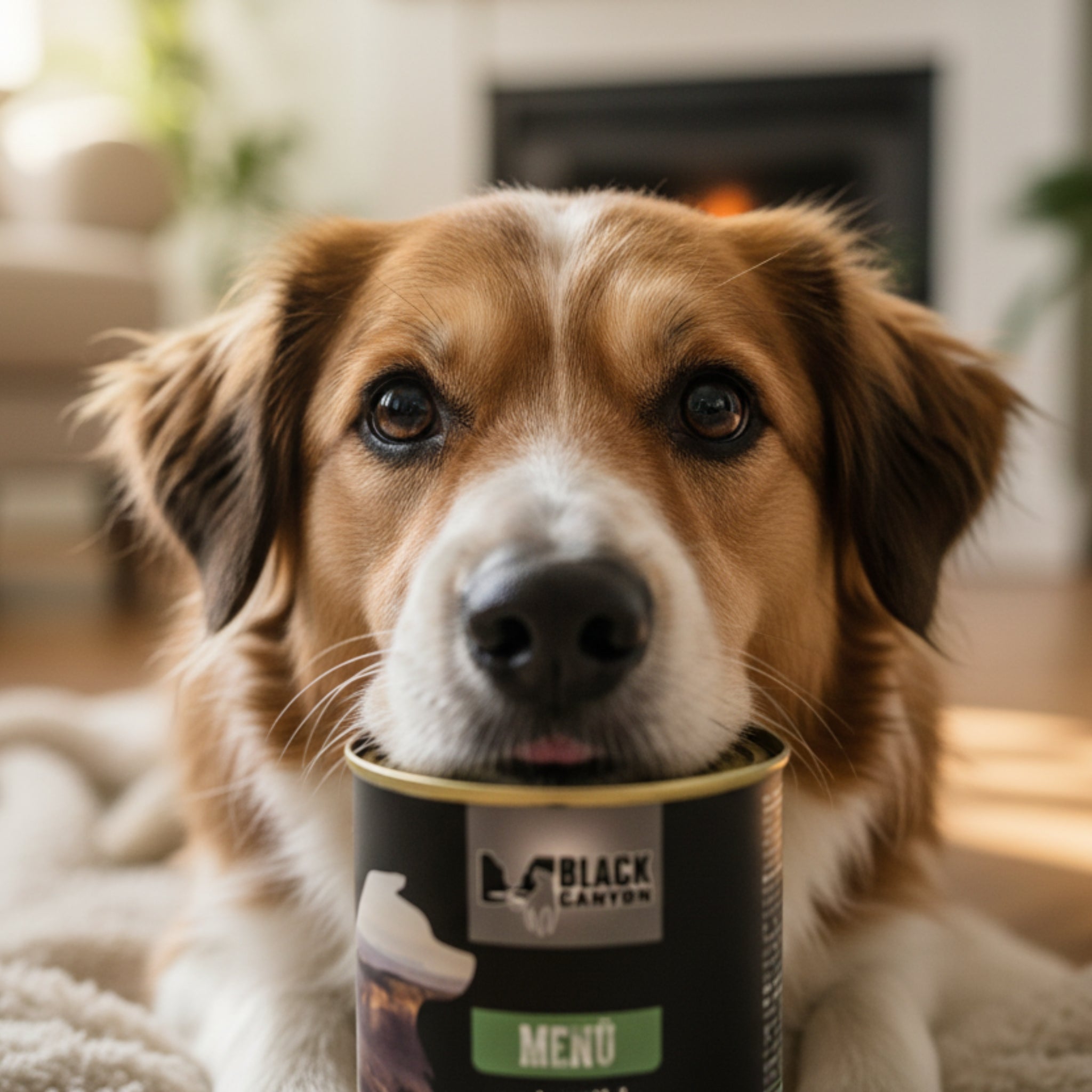 Black Canyon Wild &amp; Gemüse Menü – Getreidefreies Premium Nassfutter mit 91% Fleisch für ernährungssensible Hunde, natürlich &amp; artgerecht nach dem Vorbild des Wolfes - Woofshack