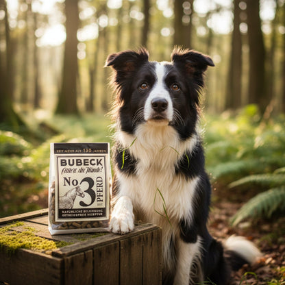 Bubeck No. 3 mit Pferdefleisch – Premium Hundesnack getreidefrei für Allergiker, sensible Hunde &amp; Futtermittelunverträglichkeiten - Woofshack