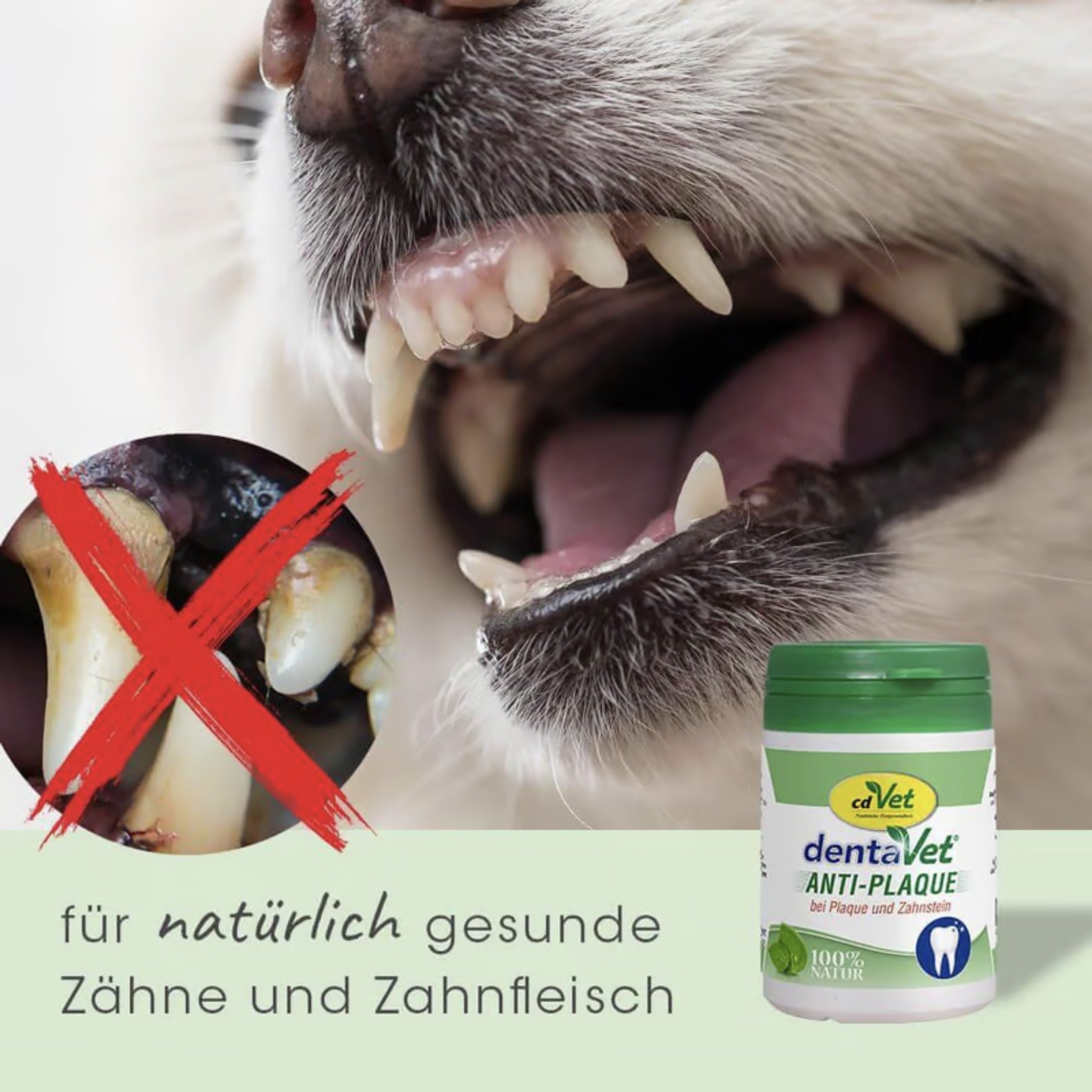 cdVet dentaVet Anti-Plaque für Hunde - Woofshack