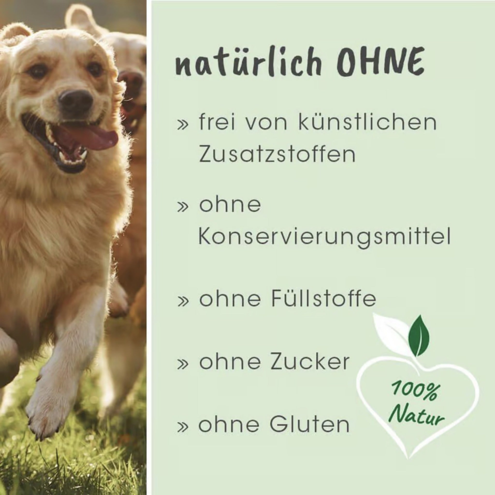 cdVet dentaVet Anti-Plaque für Hunde - Woofshack