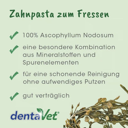 cdVet dentaVet Anti-Plaque für Hunde - Woofshack