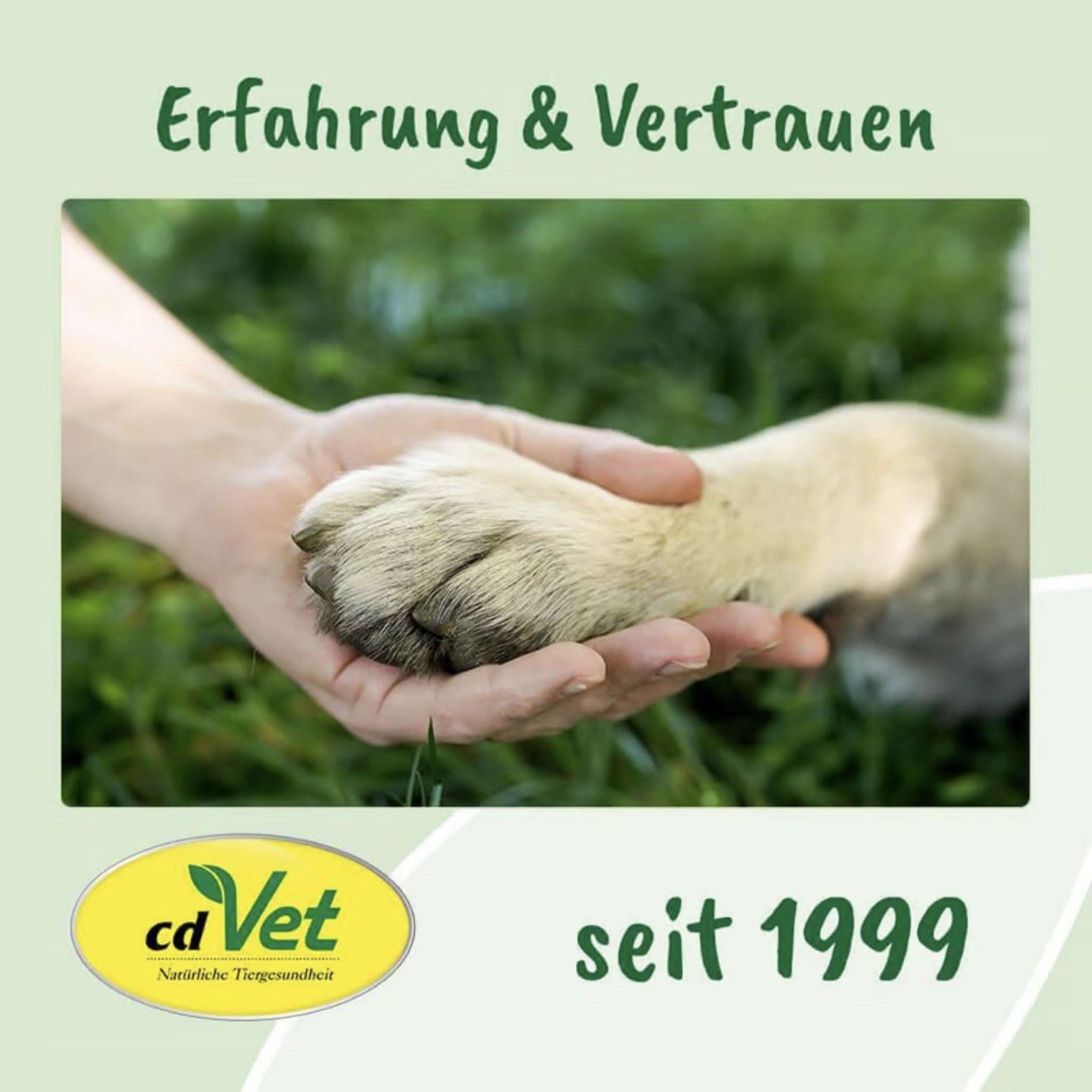 cdVet dentaVet Anti-Plaque für Hunde - Woofshack