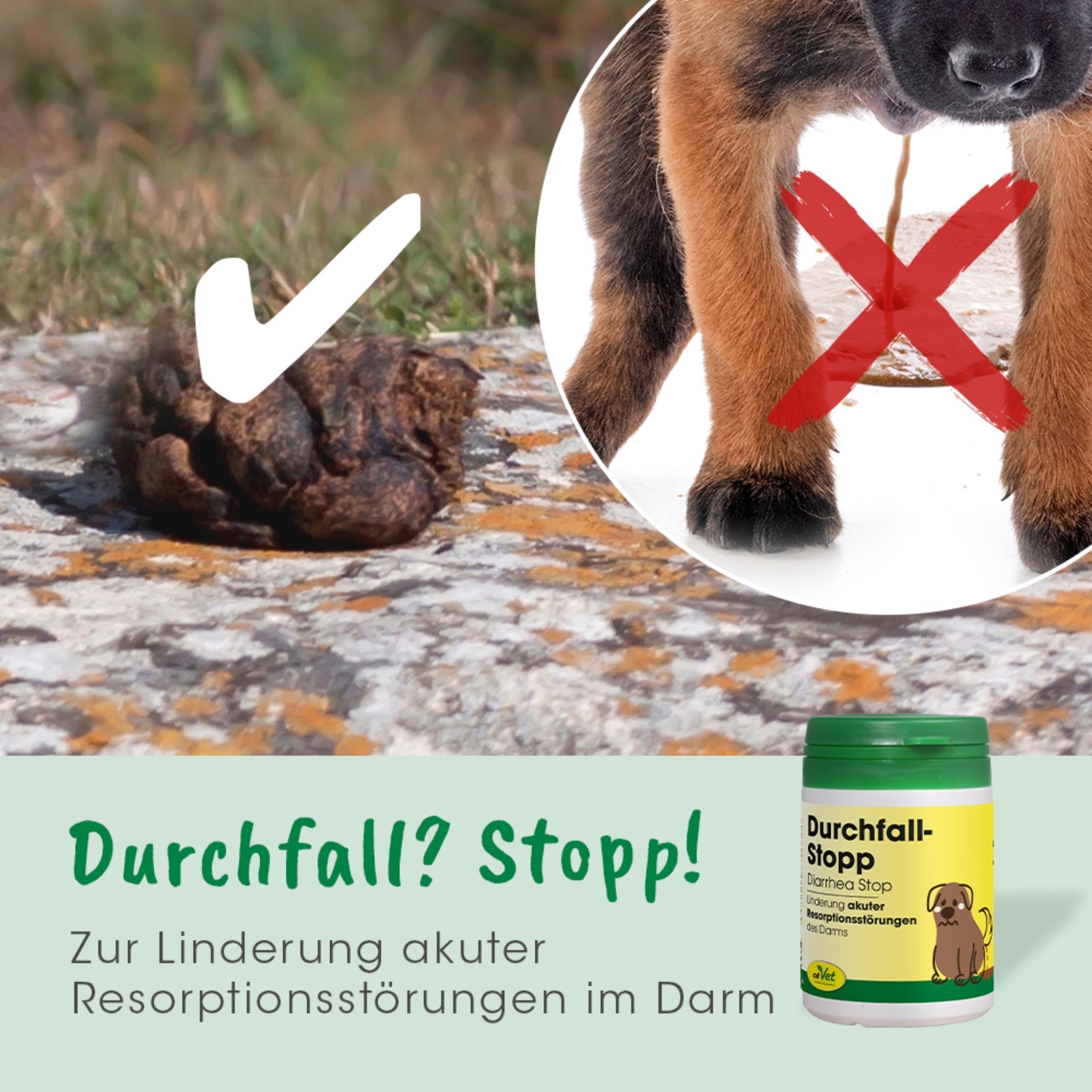 cdVet Durchfall Stopp – Natürliche Soforthilfe bei Durchfall für Hunde &amp; Katzen | Stabilisiert die Darmflora schnell &amp; sanft - Woofshack