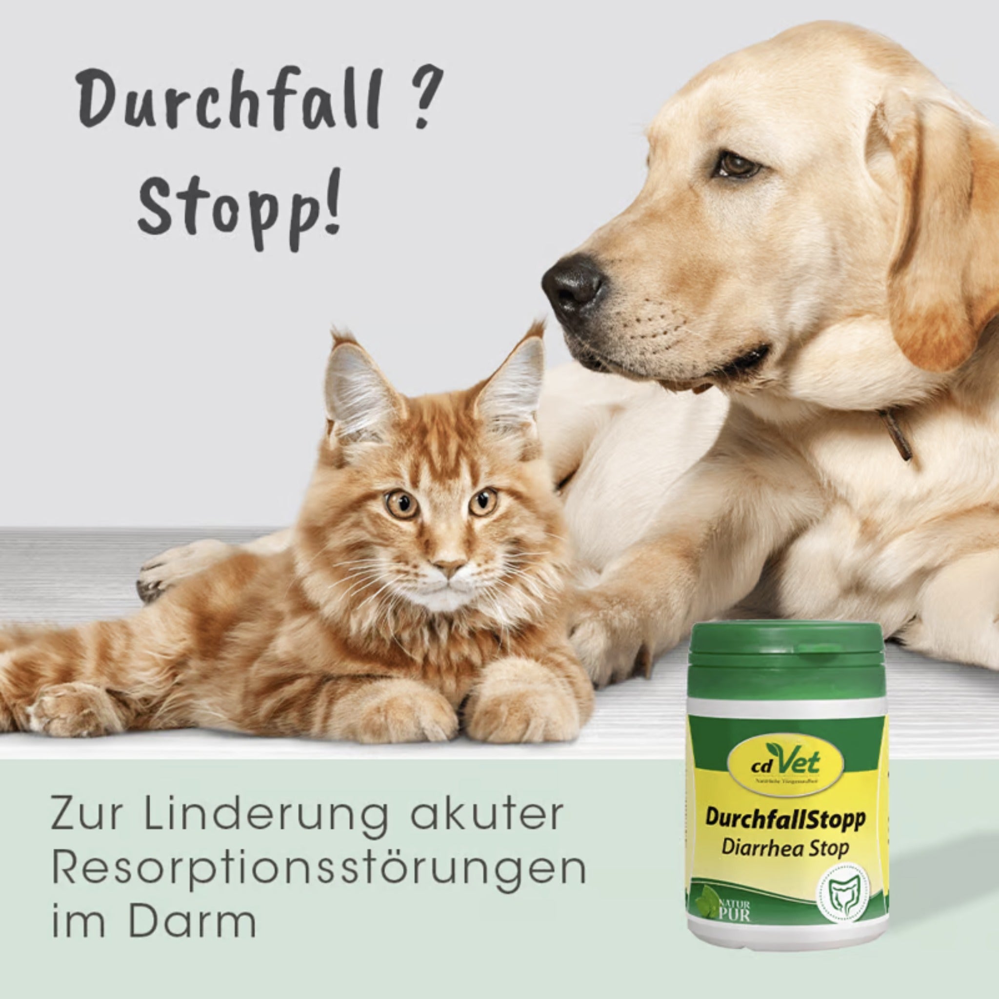 cdVet DurchfallStopp für Hunde - Woofshack
