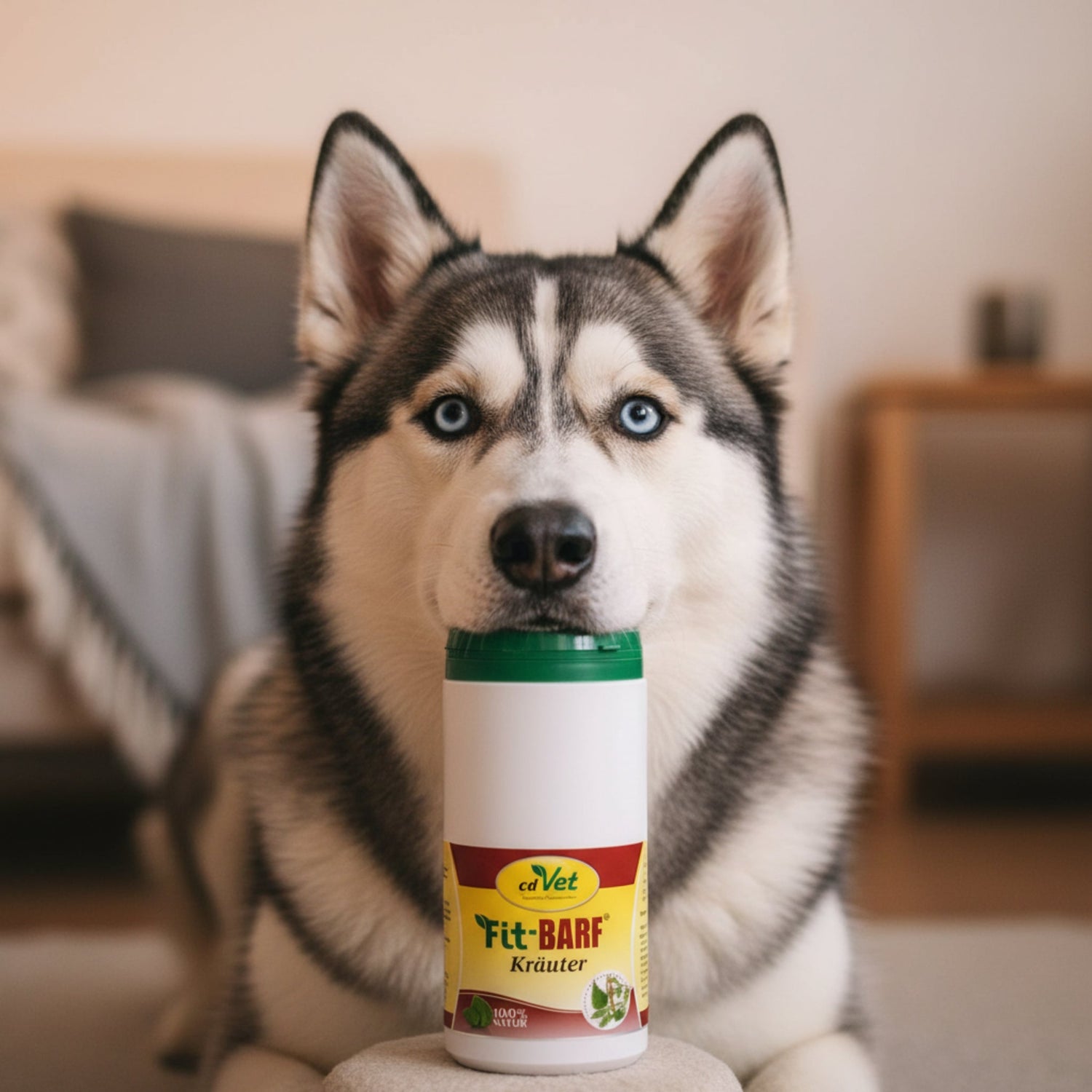 cdVet Fit - BARF Kräuter – Natürliche Kräutermischung für eine ausgewogene &amp; nährstoffreiche Rohfütterung von Hund &amp; Katze - Woofshack