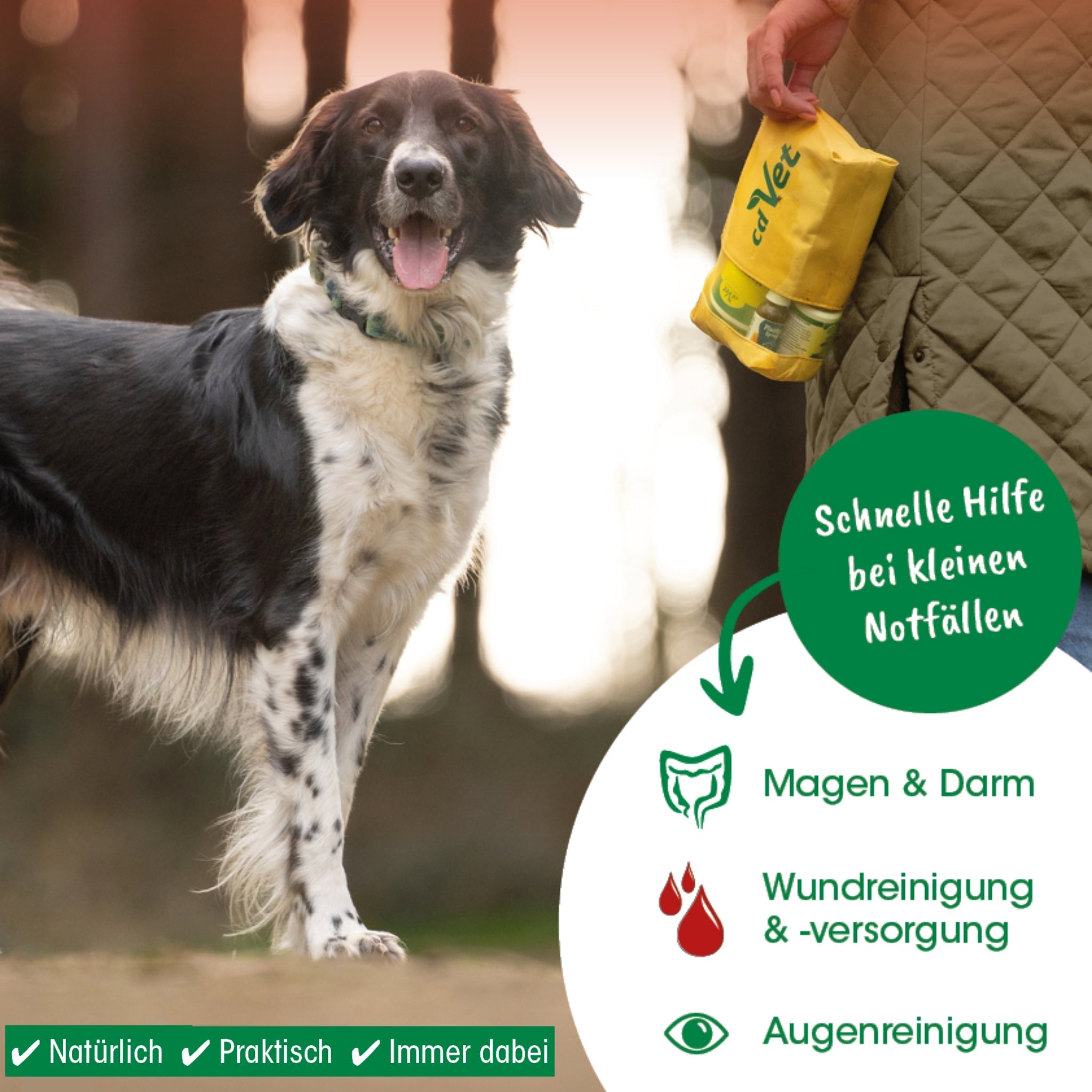 cdVet Notfall - Set für unterwegs – Erste Hilfe für Hunde bei Durchfall, Wunden, Magenproblemen &amp; Augenpflege - Woofshack