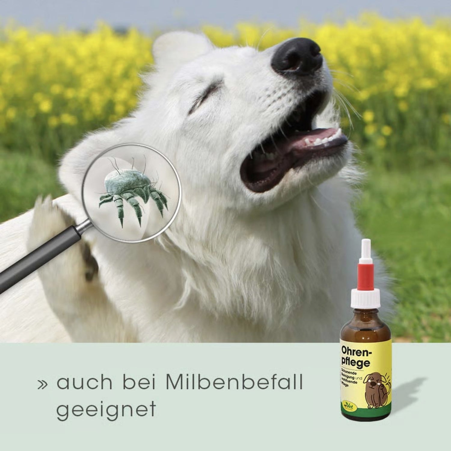 cdVet Ohrenpflege für Hunde - Woofshack