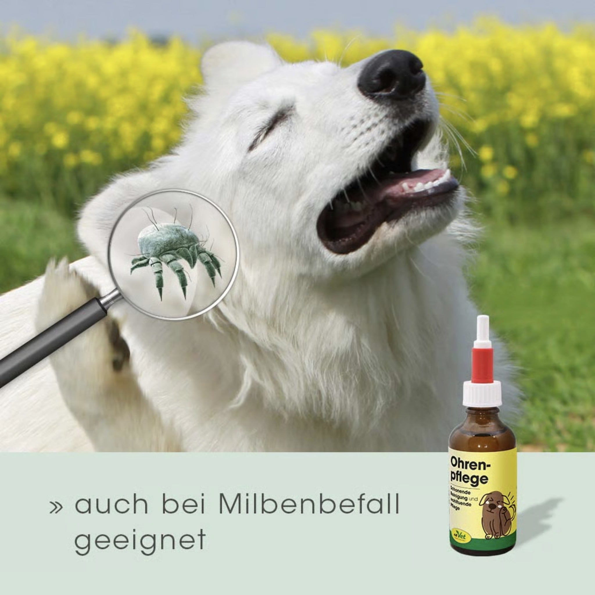 cdVet Ohrenpflege für Hunde - Woofshack