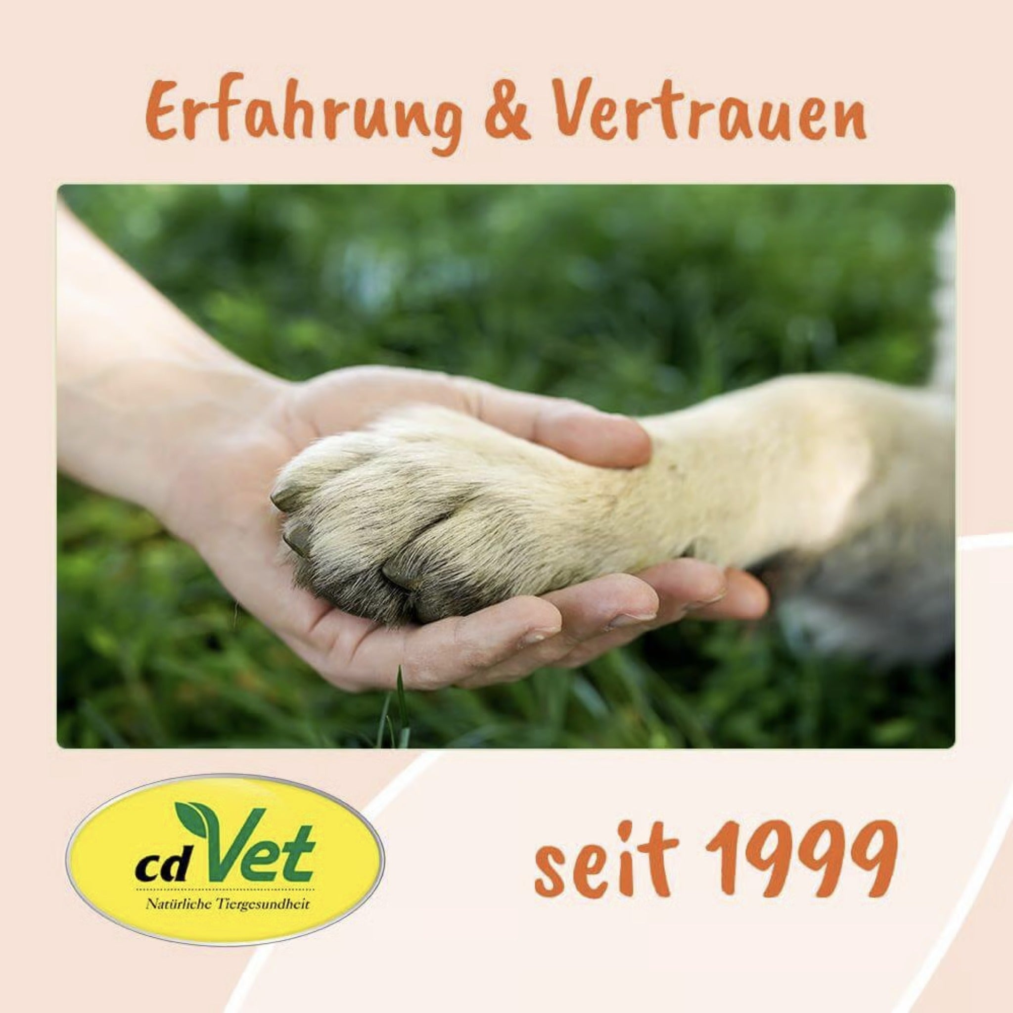 cdVet Singulares Ägyptisches Schwarzkümmelöl - Woofshack