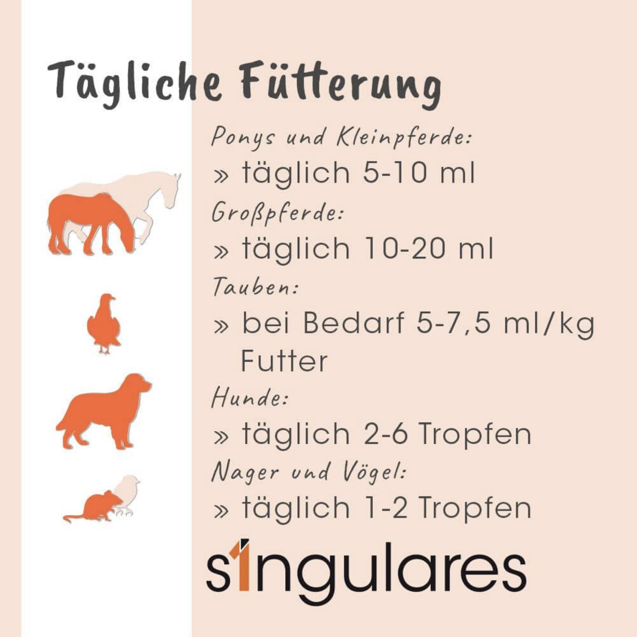 cdVet Singulares Ägyptisches Schwarzkümmelöl - Woofshack