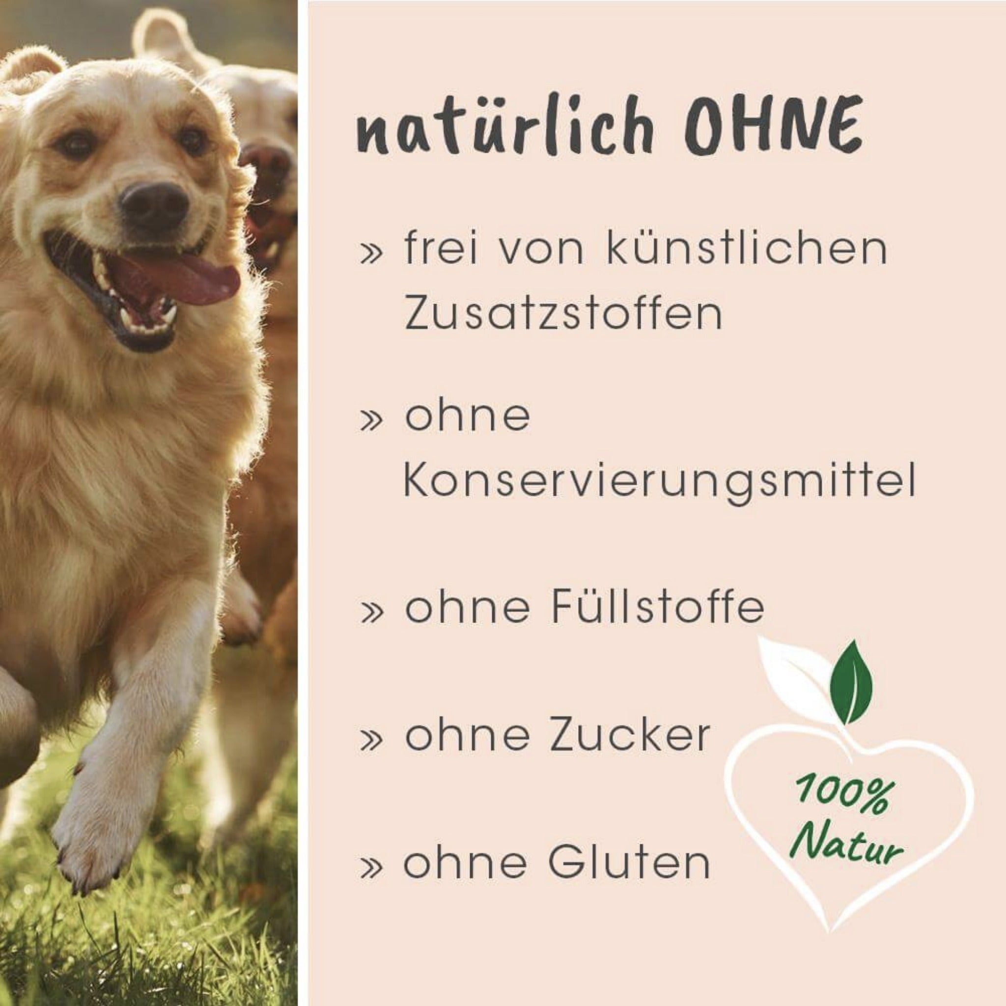 cdVet Singulares Ägyptisches Schwarzkümmelöl - Woofshack