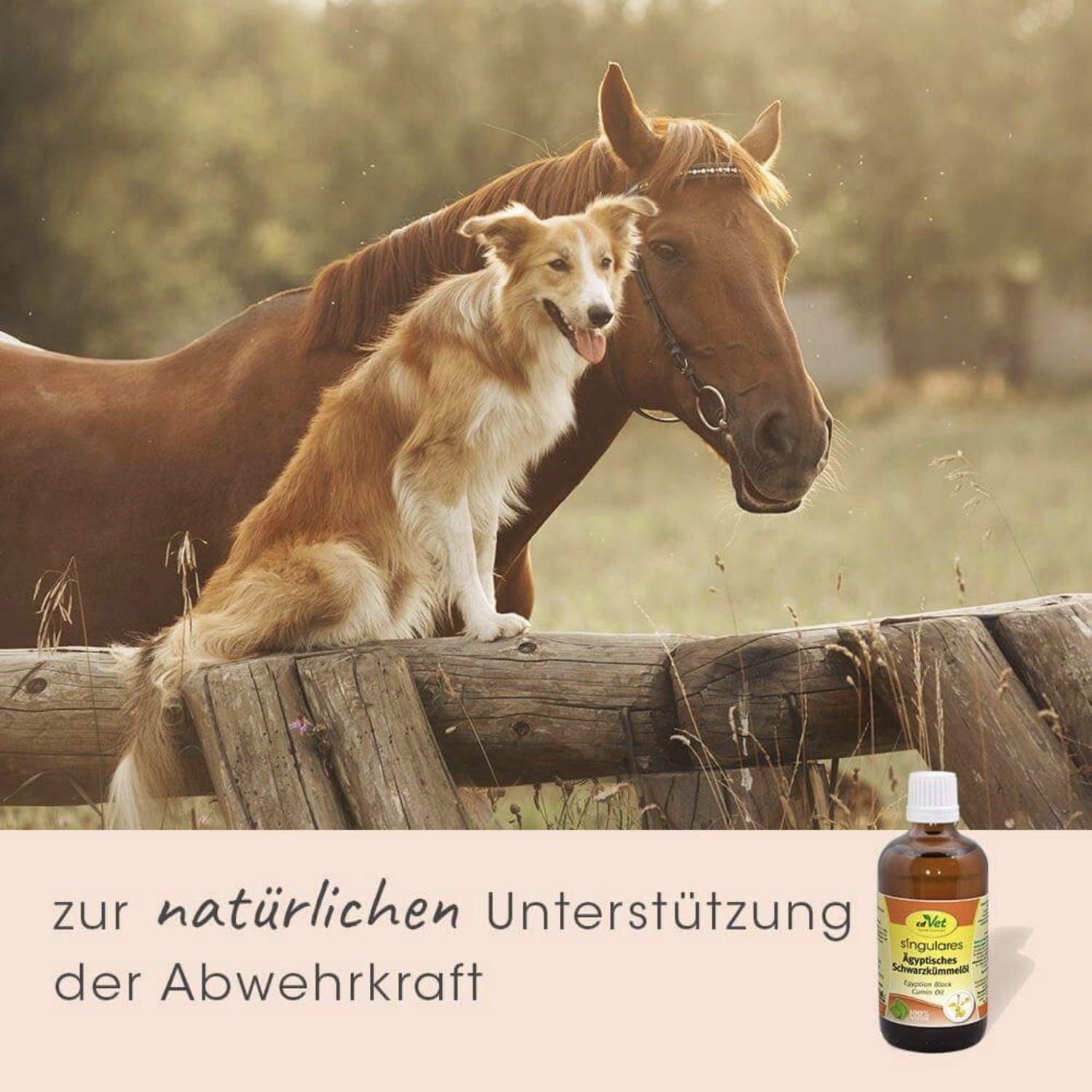 cdVet Singulares Ägyptisches Schwarzkümmelöl - Woofshack