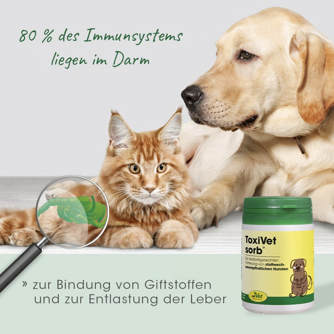 cdVet ToxiVet sorb für Hunde - Woofshack