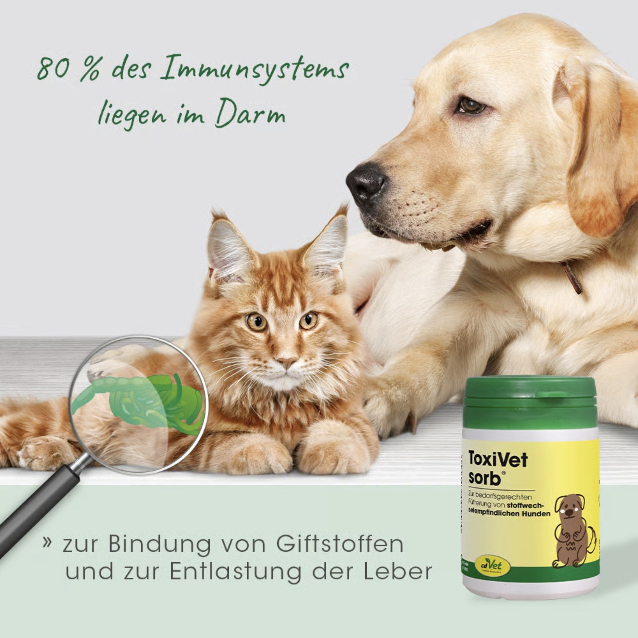cdVet ToxiVet sorb für Hunde - Woofshack