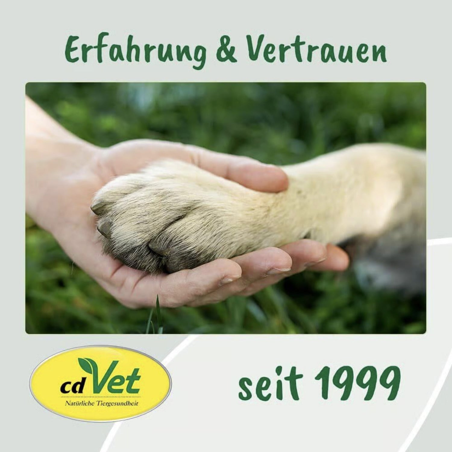 cdVet VeaVet Augenpflege - Woofshack