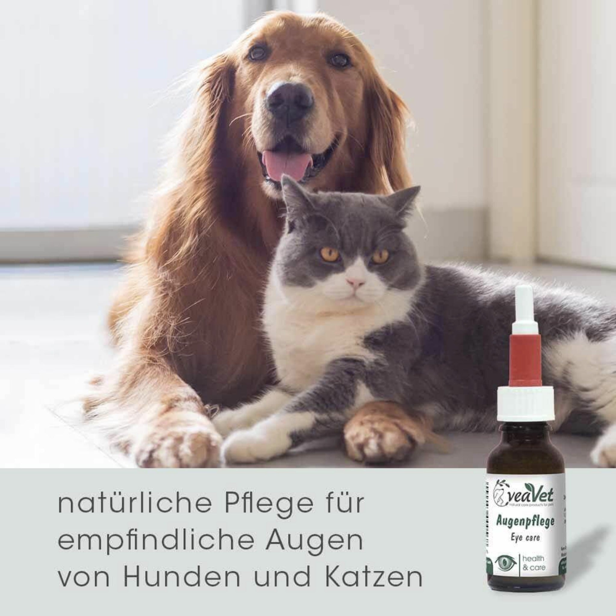 cdVet VeaVet Augenpflege - Woofshack