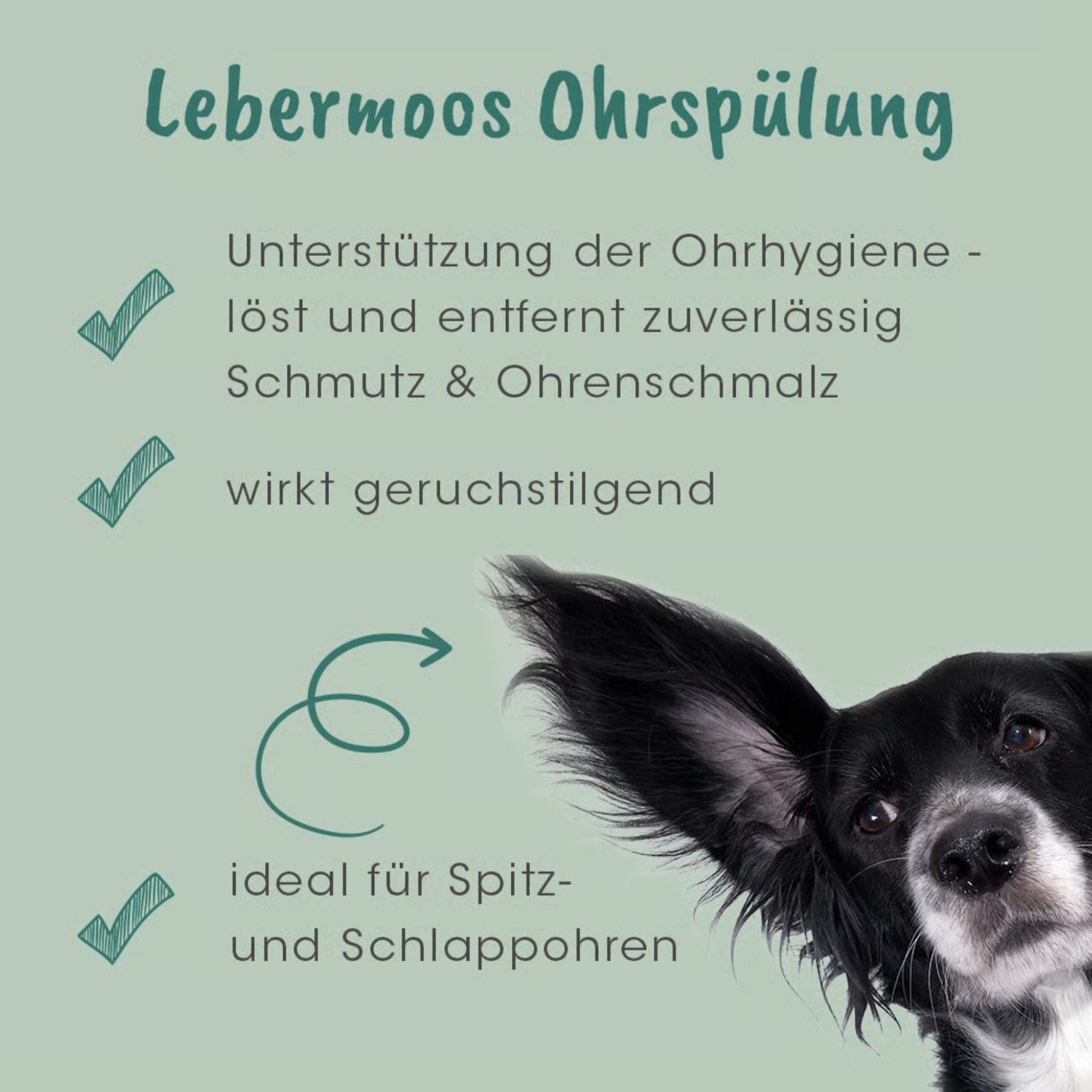 cdVet VeaVet Lebermoos Ohrspülung für Hunde - Woofshack