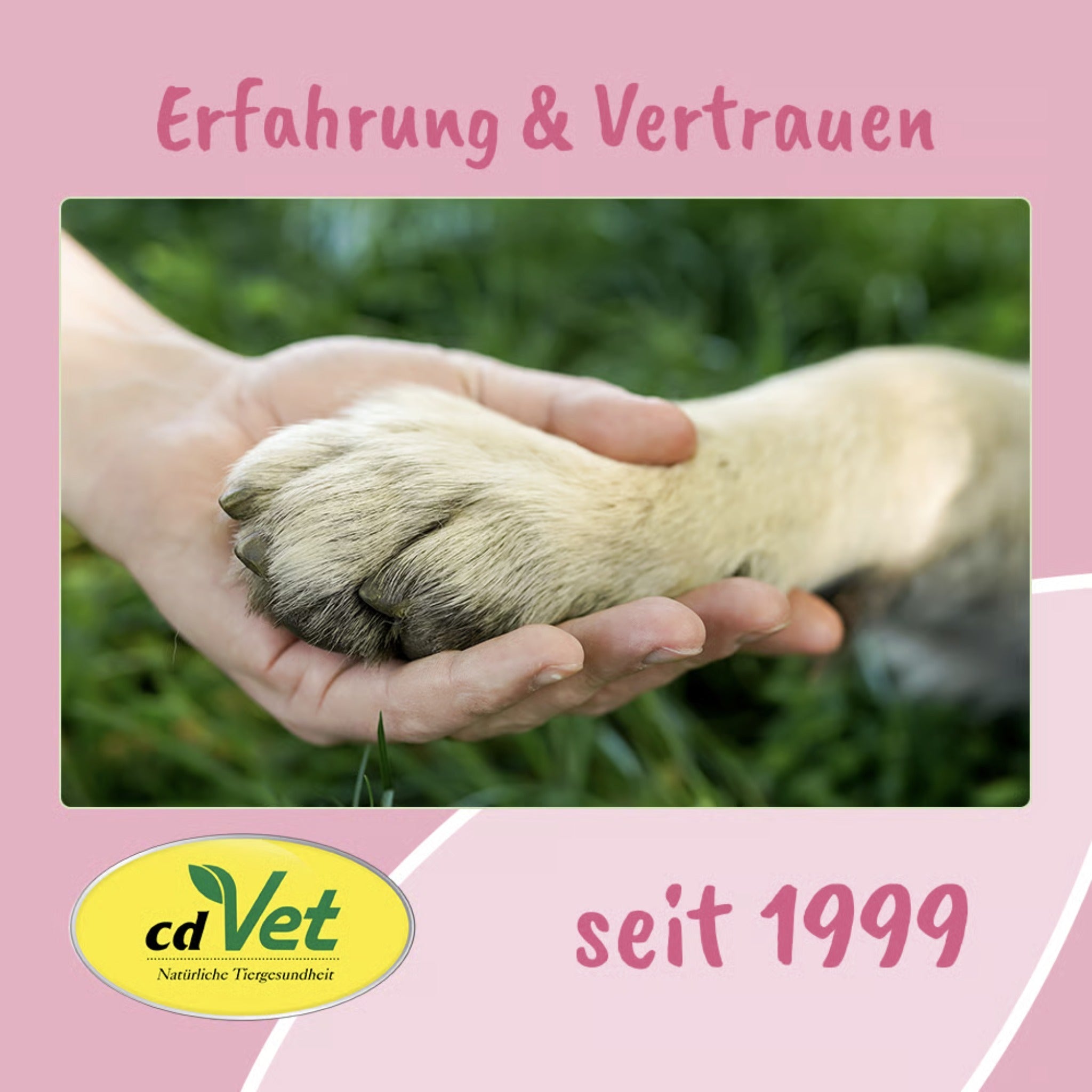 cdVet VeaVet Lebermoos Spray - Woofshack