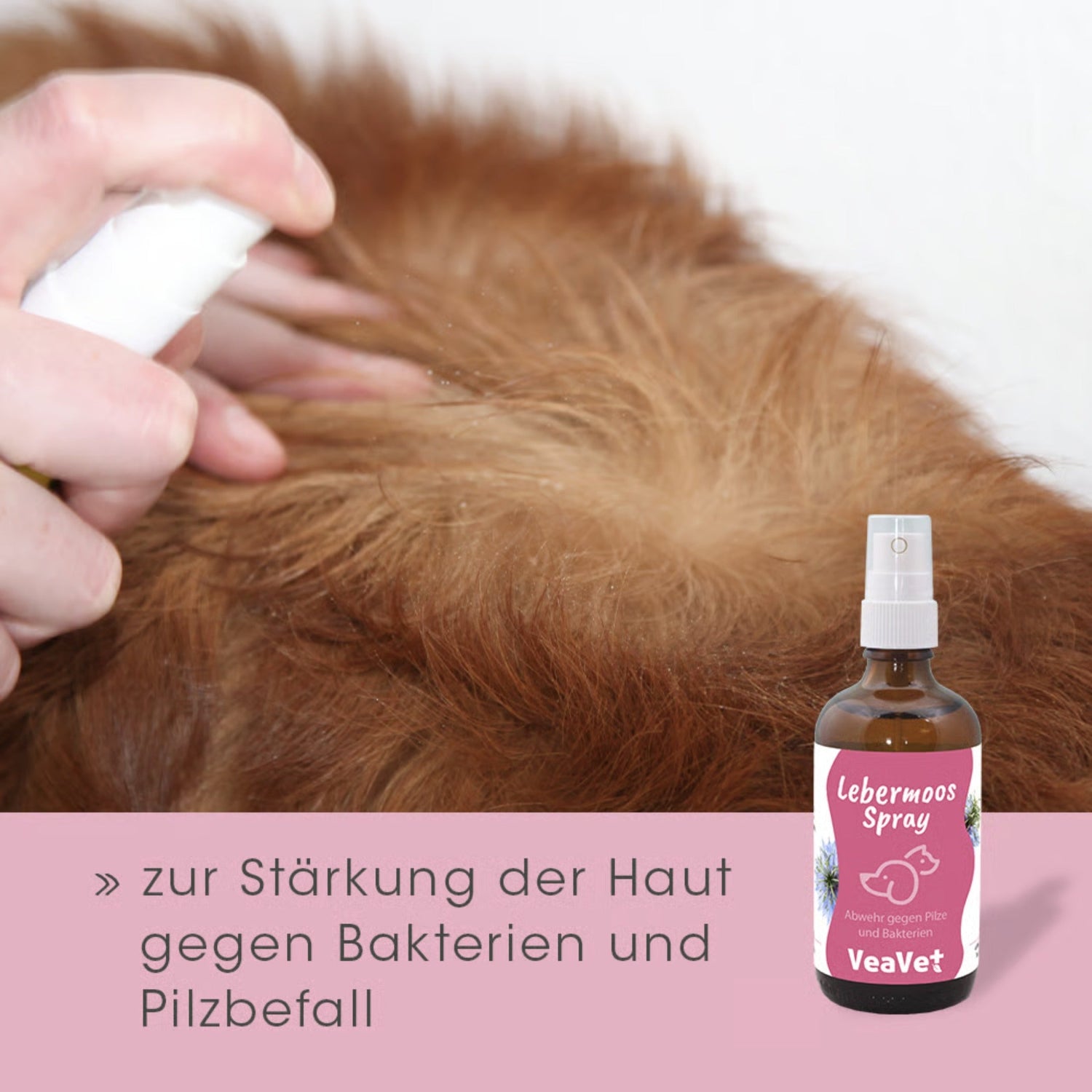 cdVet VeaVet Lebermoos Spray - Woofshack