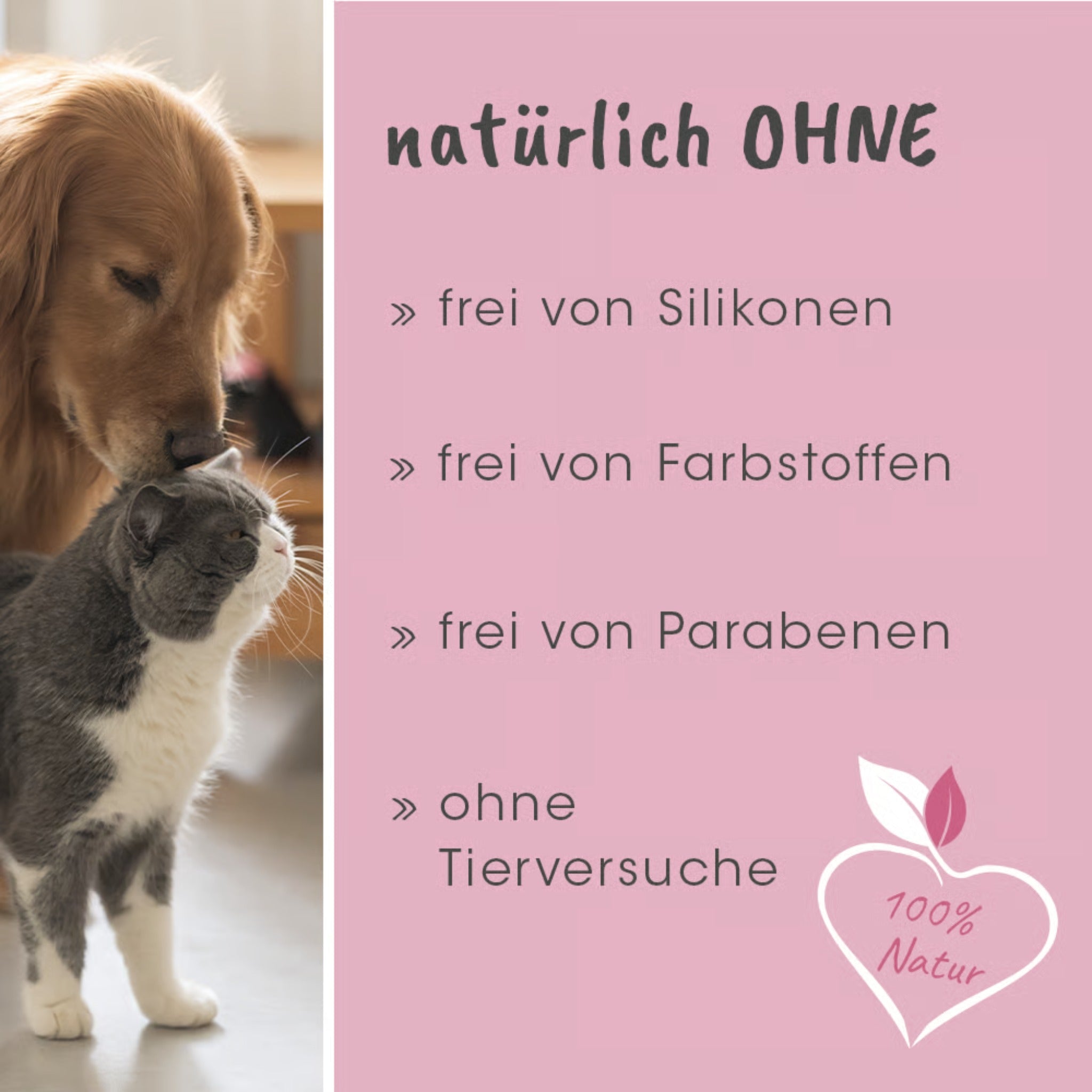 cdVet VeaVet Lebermoos Spray - Woofshack