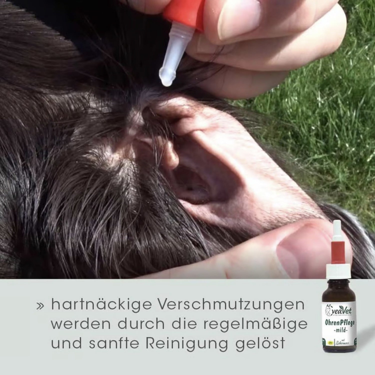 cdVet VeaVet Ohrenpflege mild für Hunde - Woofshack