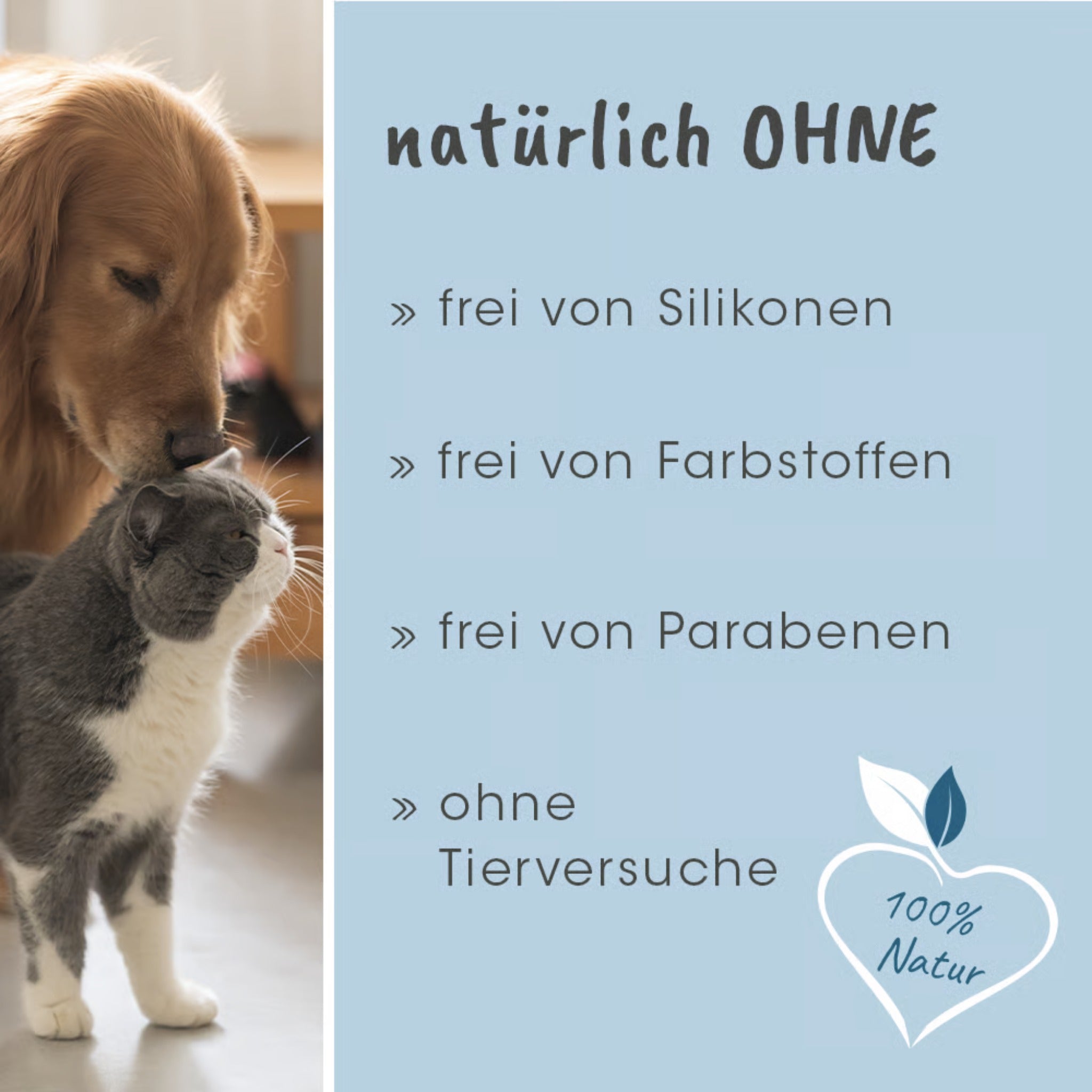 cdVet VeaVet WundEx Spray – Natürliche Wundpflege für Hunde &amp; Katzen bei empfindlicher, gereizter Haut