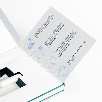 Schritt-für-Schritt Anleitung in der Probenbox