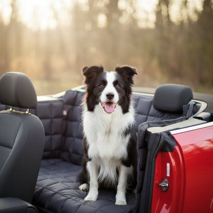 Doctor Bark Cabrio Autoschondecke 2 - Türer – Perfekter Schutz für Hundebesitzer - Woofshack