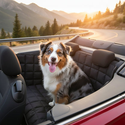 Doctor Bark Cabrio Autoschondecke 2 - Türer – Perfekter Schutz für Hundebesitzer - Woofshack