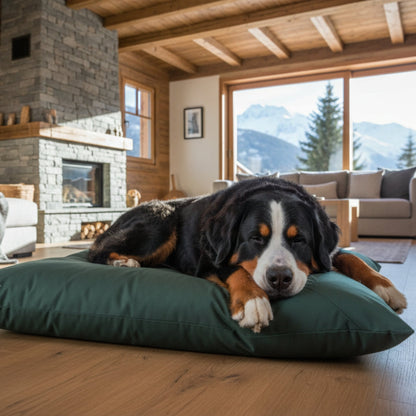 Doctor Bark Country - Kissen – Ergonomisches Hundebett mit recycelter Füllung, waschbar &amp; allergikerfreundlich für gesunden Schlaf - Woofshack
