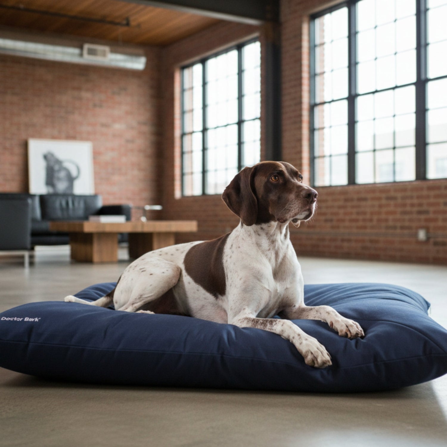 Doctor Bark Country - Kissen – Ergonomisches Hundebett mit recycelter Füllung, waschbar &amp; allergikerfreundlich für gesunden Schlaf - Woofshack