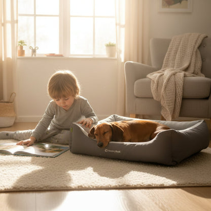 Doctor Bark Ergonomisches Hundebett Green Label – Höchster Komfort für gesunden Schlaf, Gelenkschonung &amp; nachhaltige Premium - Materialien - Woofshack