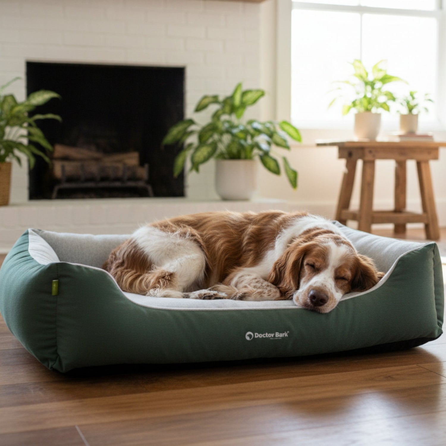 Doctor Bark Ergonomisches Hundebett Green Label – Höchster Komfort für gesunden Schlaf, Gelenkschonung &amp; nachhaltige Premium - Materialien - Woofshack