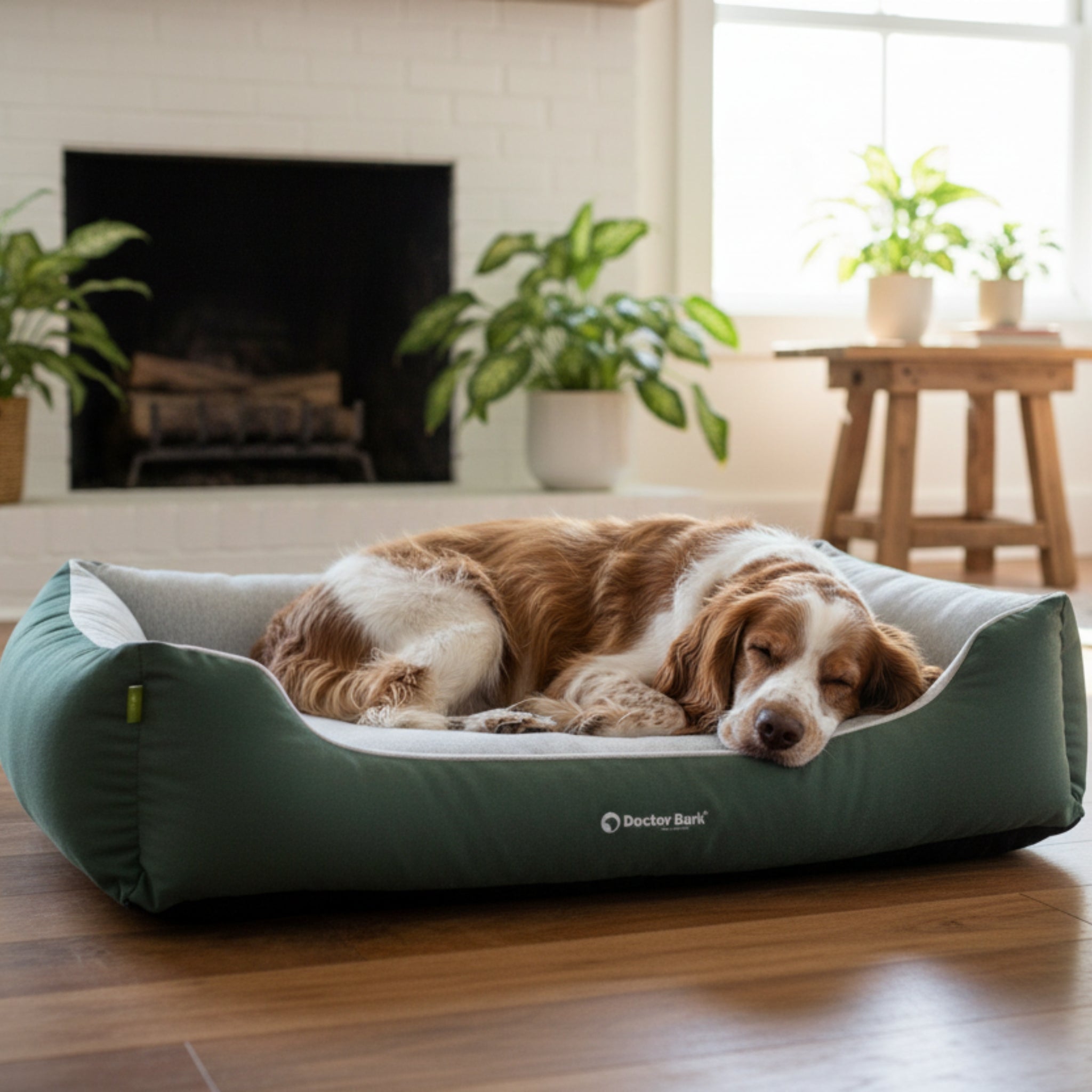 Doctor Bark Ergonomisches Hundebett Green Label – Höchster Komfort für gesunden Schlaf, Gelenkschonung &amp; nachhaltige Premium - Materialien - Woofshack