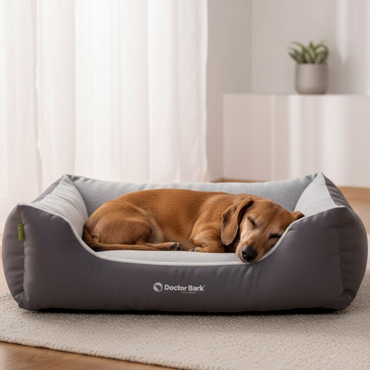 Doctor Bark Ergonomisches Hundebett Green Label – Höchster Komfort für gesunden Schlaf, Gelenkschonung &amp; nachhaltige Premium - Materialien - Woofshack