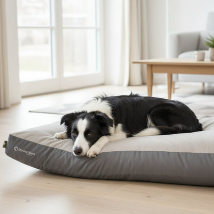 Doctor Bark Ergonomisches Lounge - Kissen für Hunde – Green Label, Waschbar bis 60°C, ÖKO - TEX Zertifiziert, Made in Germany - Woofshack