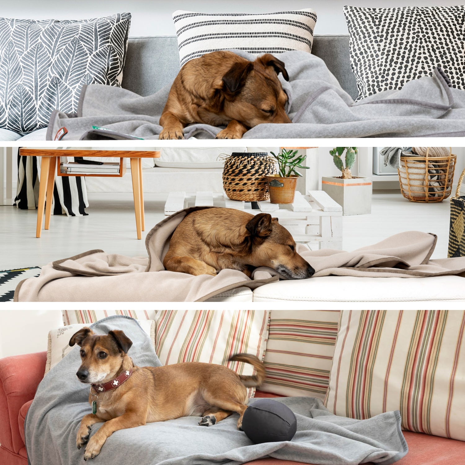 Doctor Bark Kuscheldecke für Hunde