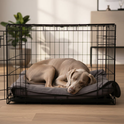 Doctor Bark Kuscheldecke für Hunde – Waschbar bis 95°C, Allergikerfreundlich &amp; Made in Germany - Woofshack