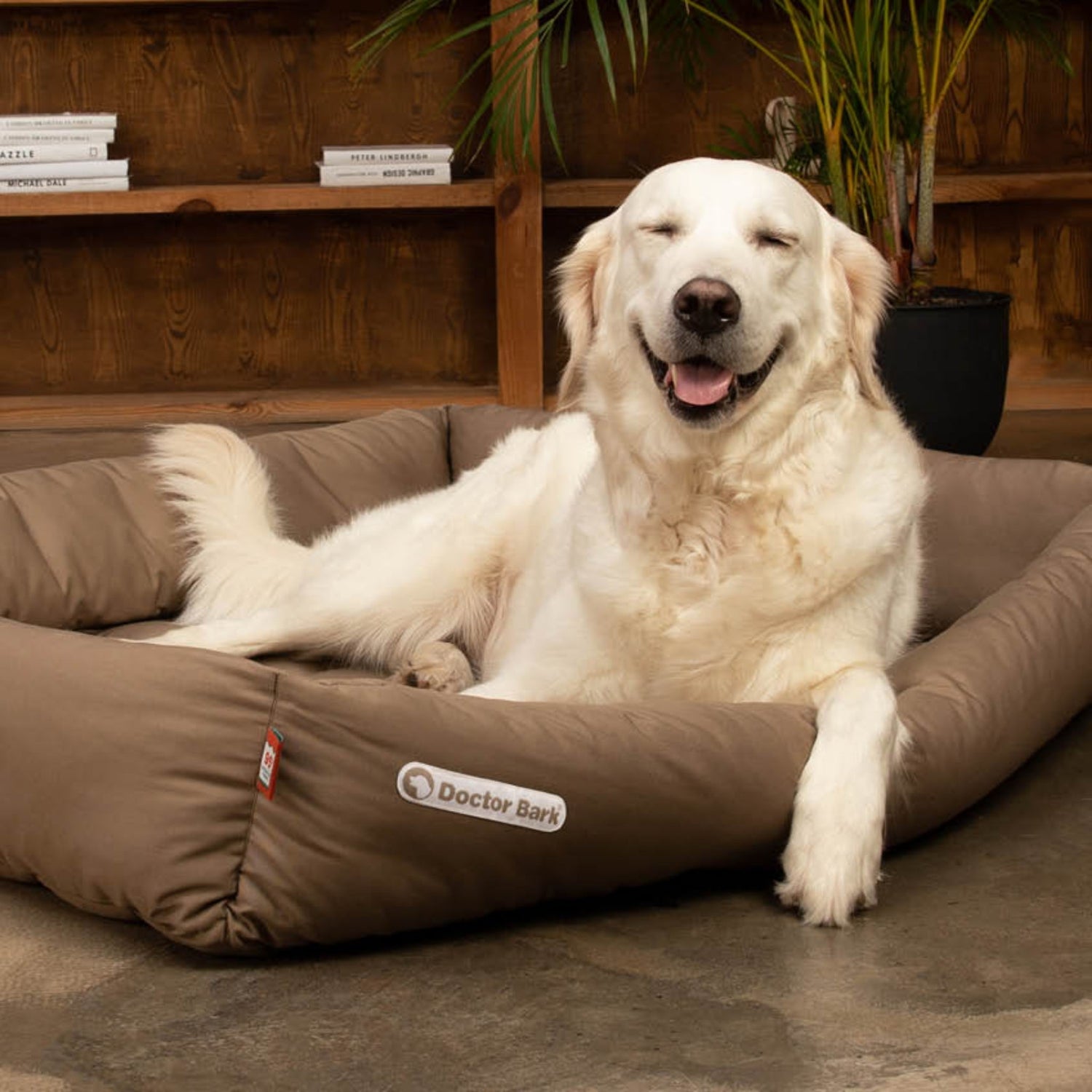 Doctor Bark Orthopädisches Hundebett - Woofshack