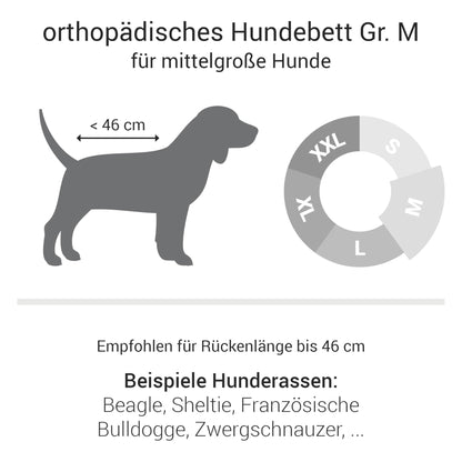 Doctor Bark Orthopädisches Hundebett - Woofshack