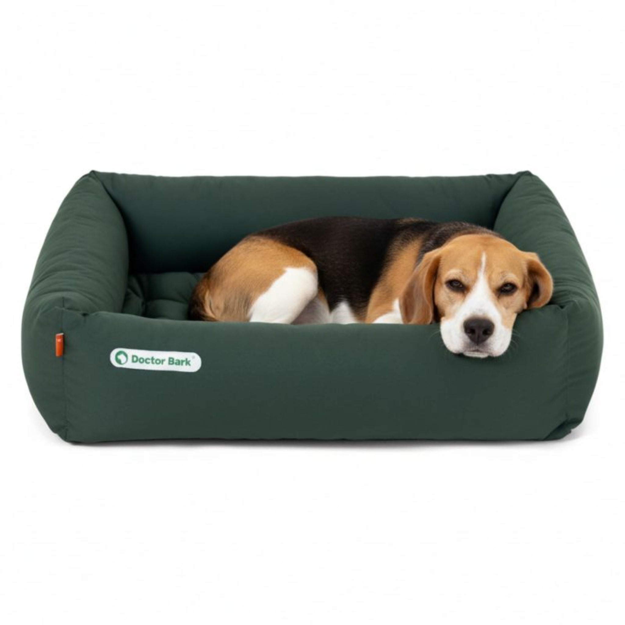 Doctor Bark Orthopädisches Hundebett – Gelenkschonend &amp; Wirbelsäulenentlastend für gesunden Schlaf - Woofshack