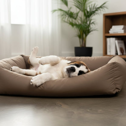 Doctor Bark Orthopädisches Hundebett – Gelenkschonend &amp; Wirbelsäulenentlastend für gesunden Schlaf - Woofshack