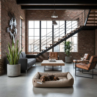 Doctor Bark Orthopädisches Hundebett – Gelenkschonend &amp; Wirbelsäulenentlastend für gesunden Schlaf - Woofshack