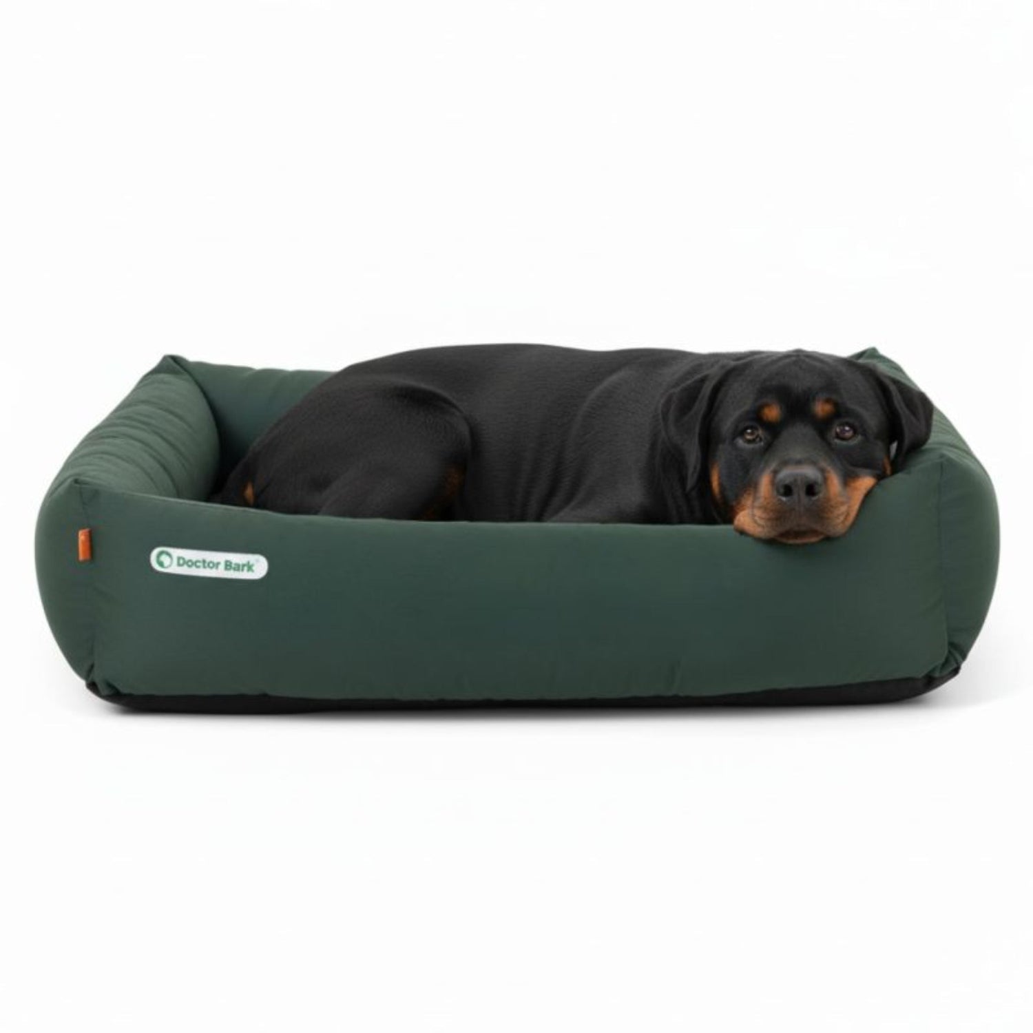 Doctor Bark Orthopädisches Hundebett – Gelenkschonend &amp; Wirbelsäulenentlastend für gesunden Schlaf - Woofshack