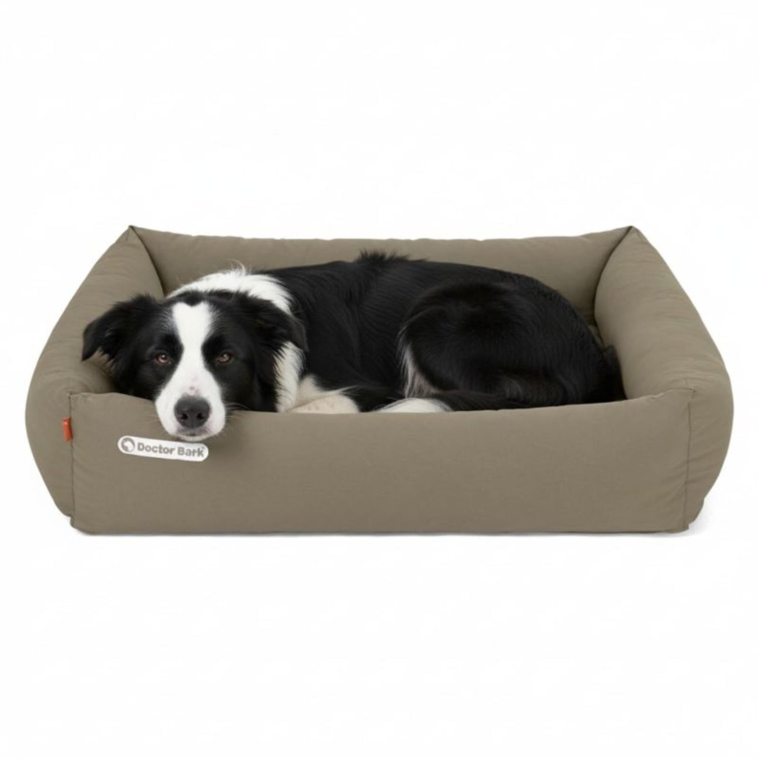 Doctor Bark Orthopädisches Hundebett – Gelenkschonend &amp; Wirbelsäulenentlastend für gesunden Schlaf - Woofshack
