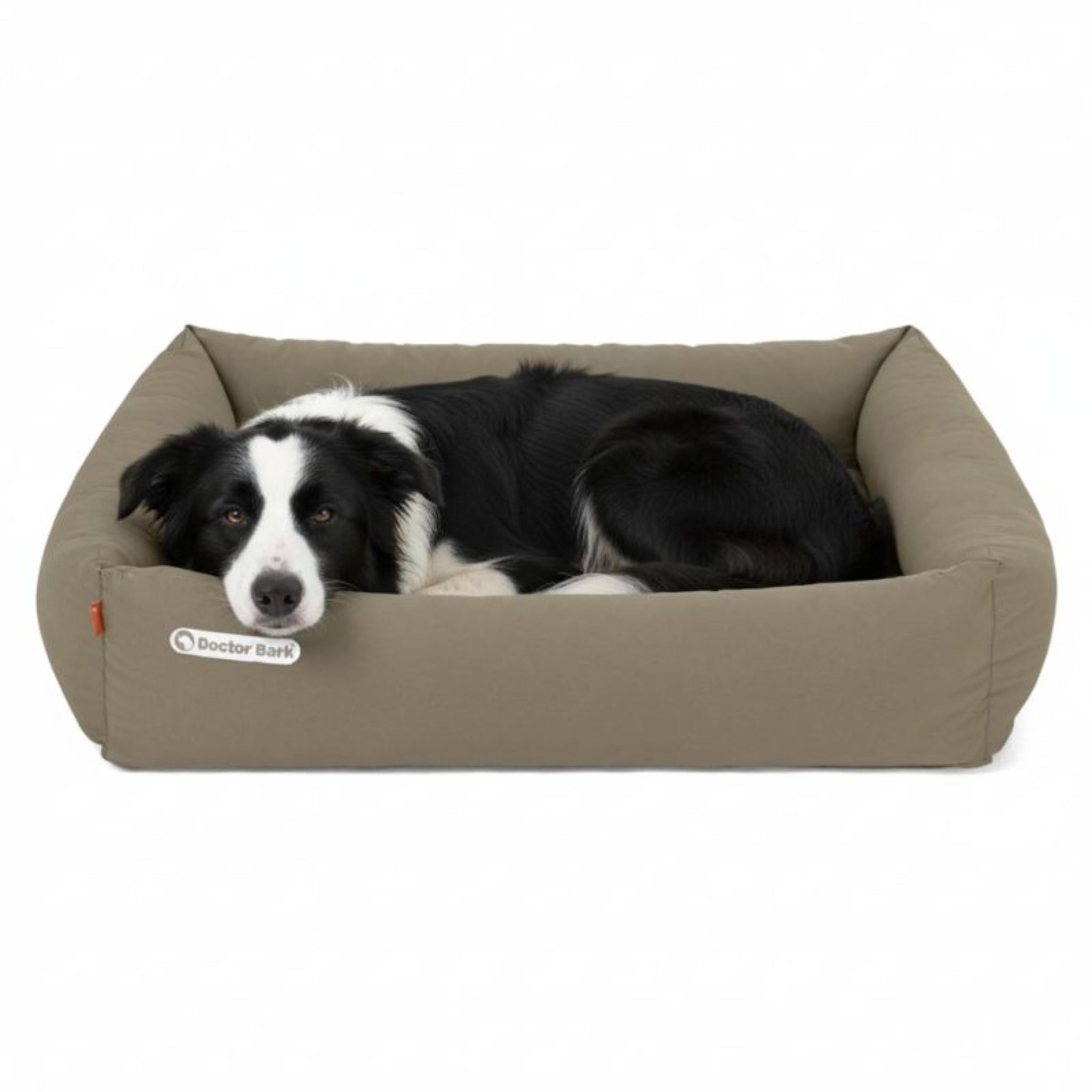 Doctor Bark Orthopädisches Hundebett – Gelenkschonend &amp; Wirbelsäulenentlastend für gesunden Schlaf - Woofshack