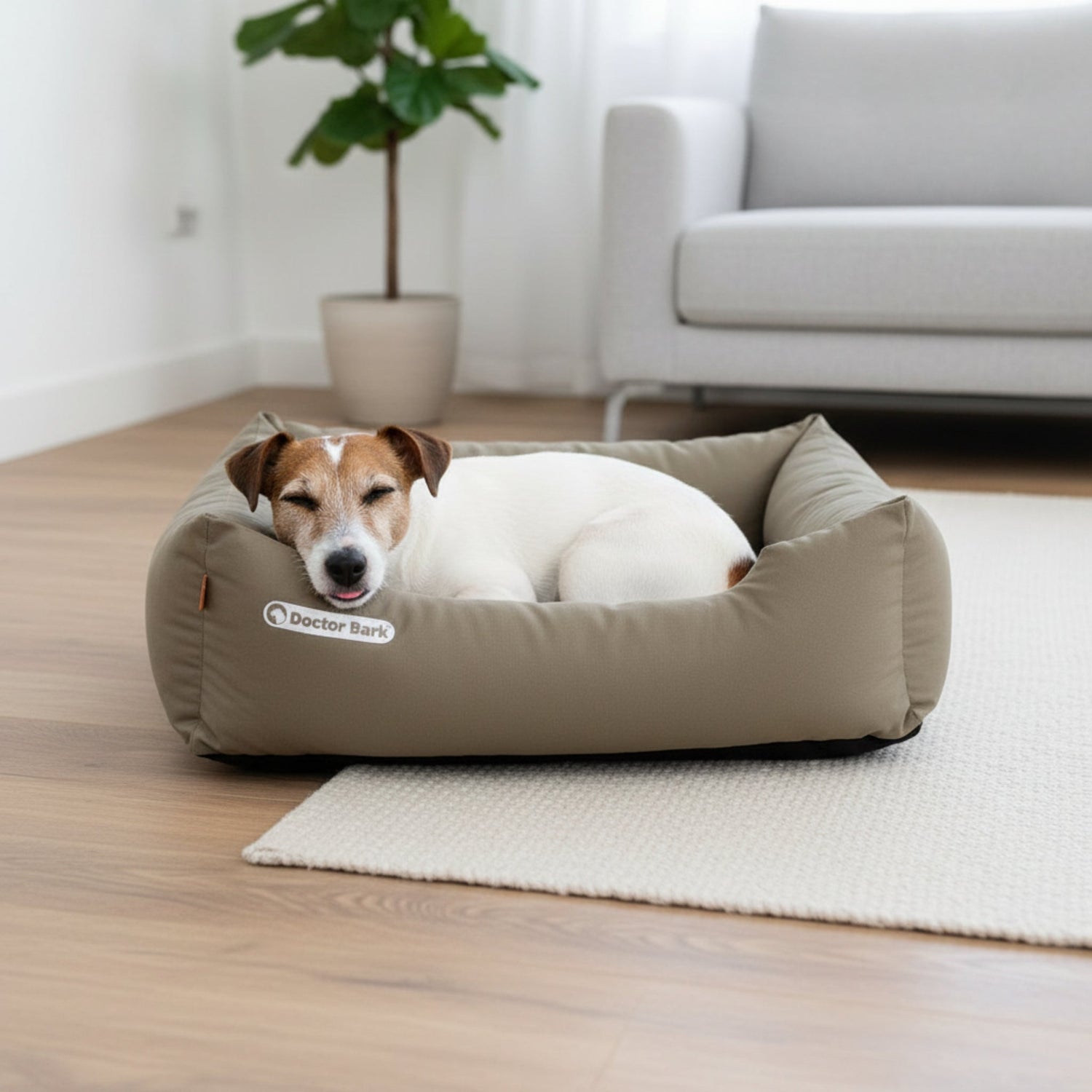 Doctor Bark Orthopädisches Hundebett – Gelenkschonend &amp; Wirbelsäulenentlastend für gesunden Schlaf - Woofshack