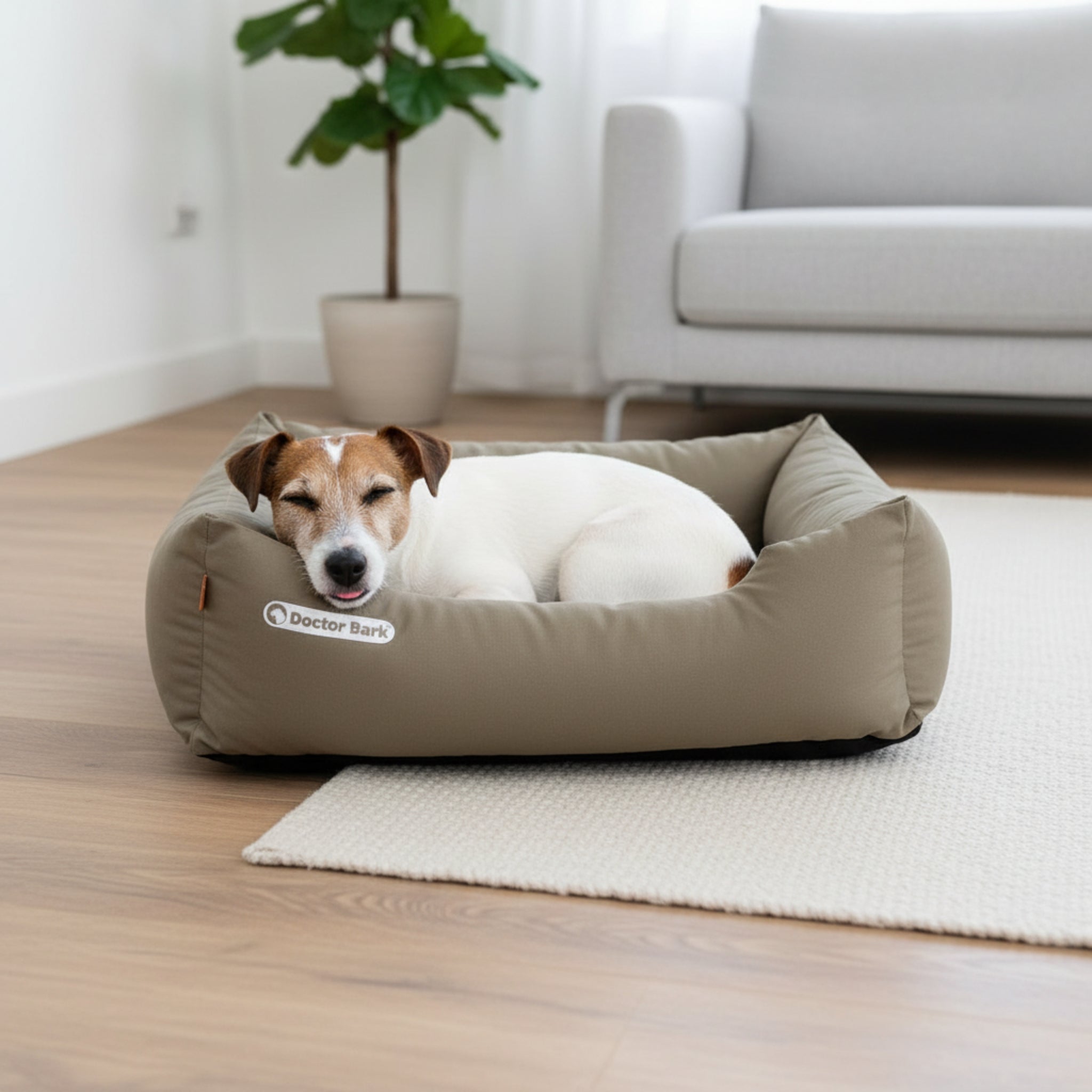 Doctor Bark Orthopädisches Hundebett – Gelenkschonend &amp; Wirbelsäulenentlastend für gesunden Schlaf - Woofshack
