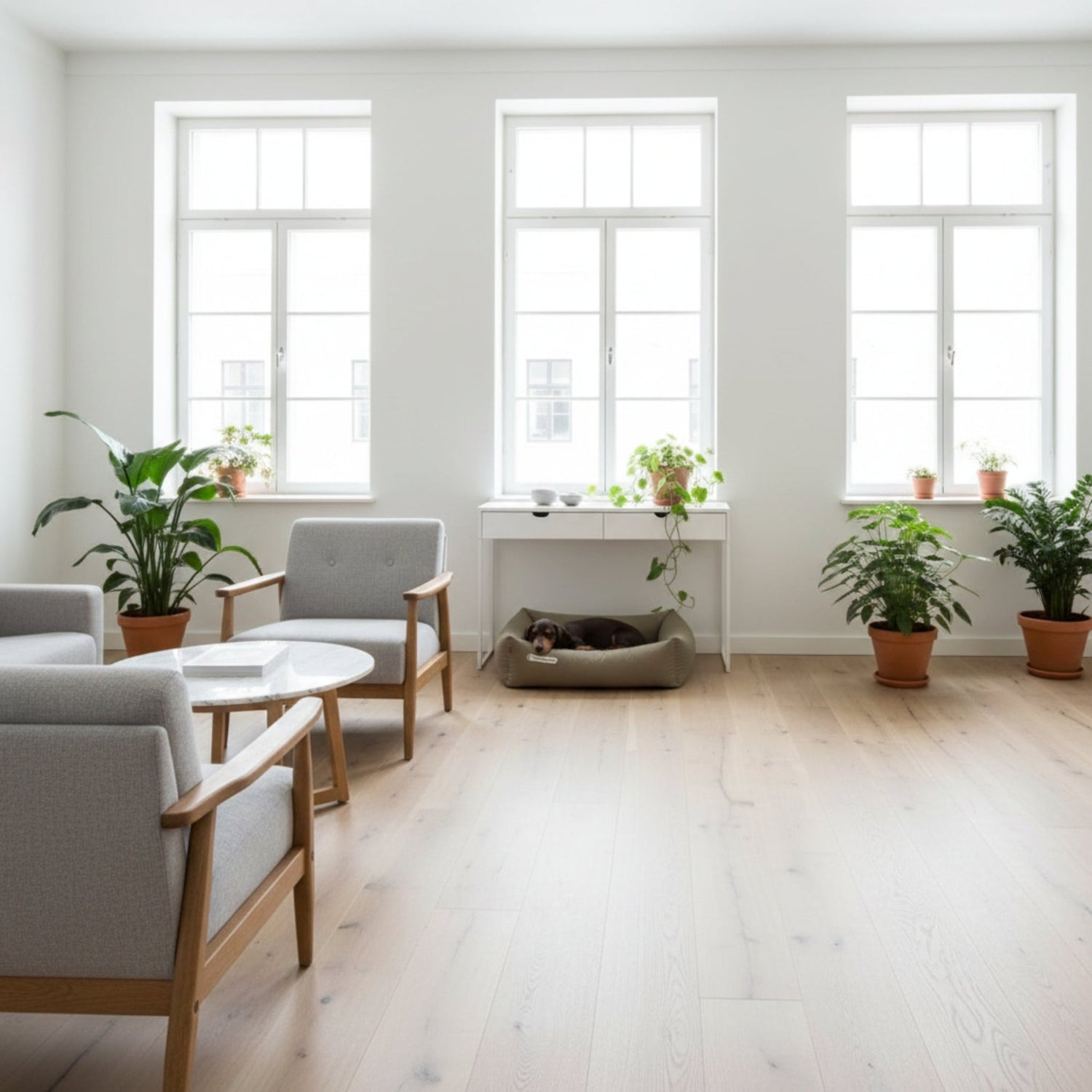 Doctor Bark Orthopädisches Hundebett – Gelenkschonend &amp; Wirbelsäulenentlastend für gesunden Schlaf - Woofshack