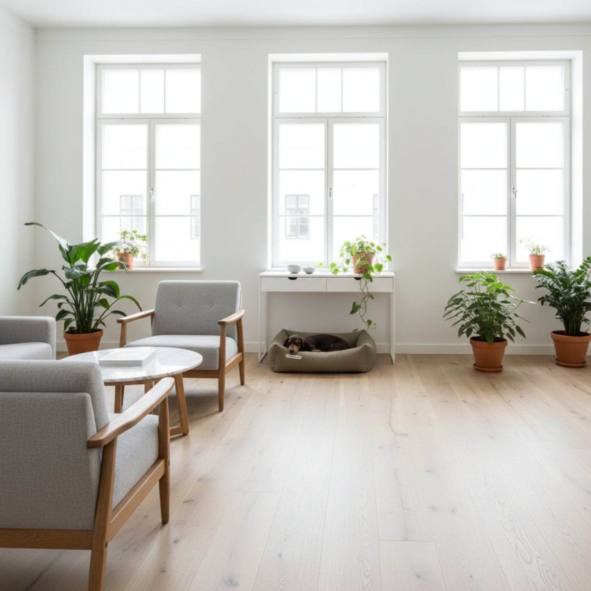 Doctor Bark Orthopädisches Hundebett – Gelenkschonend &amp; Wirbelsäulenentlastend für gesunden Schlaf - Woofshack